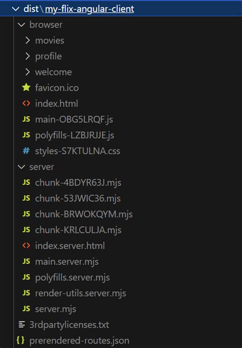 Is There A Reason My Dist Folder Is Generating Like This In Angular