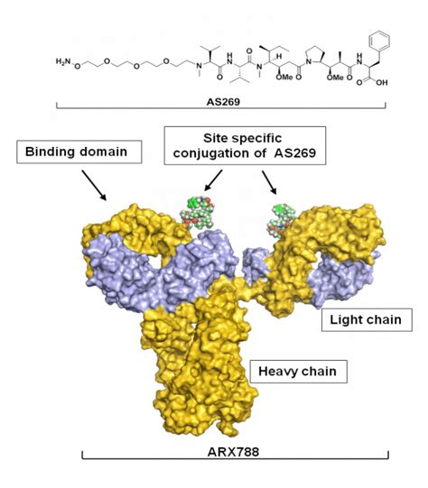 Wuxi Biologics Opens New Facility To Supports Novocodex Adc