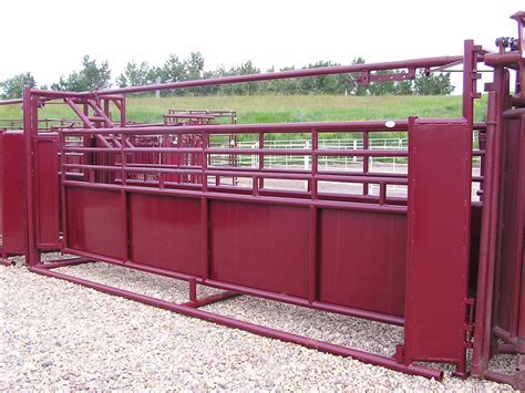 Adjustable Cattle Alleys Efficient Livestock Handling Systems