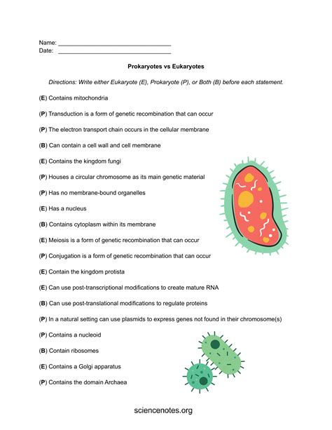 Prokaryotic And Eukaryotic Cells Worksheet Answer Key