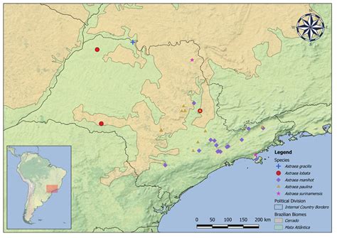 Distribution Map Of The Species Of Astraea In The State Of São Paulo