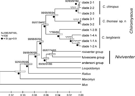 The Ultrametric Ml Phylogenetic Tree Constructed Based On The Combined