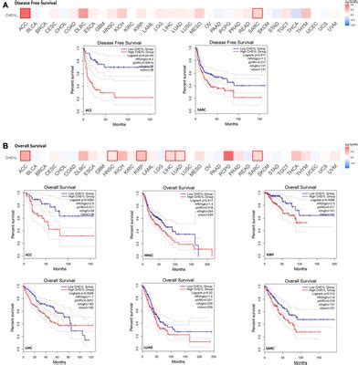 Frontiers A Pan Cancer Analysis Reveals Chd L As A Prognostic And