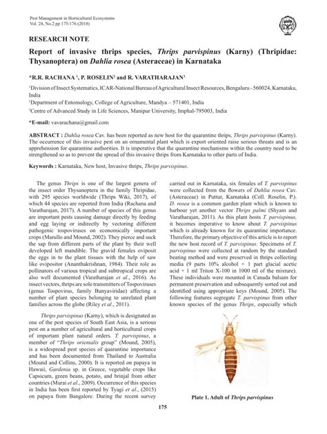 Pdf Report Of Invasive Thrips Species Thrips Parvispinus Karny