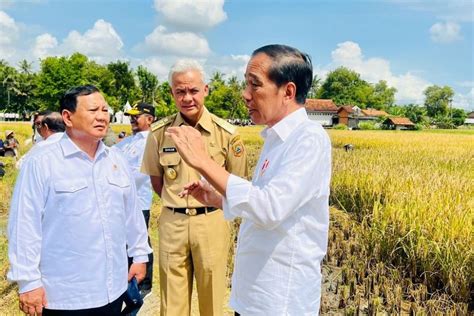 Potret Jokowi Selfie Bareng Ganjar Prabowo Di Tengah Sawah