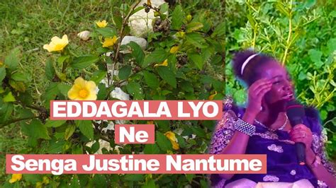 Eddagala Lyo Ne Senga Justine Nantume Samba Ensiko Youtube