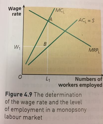 Micro 6 The Labour Market Flashcards Quizlet