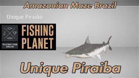 Unique Piraiba Amazonian Maze Brazil Fishing Planet Guide Youtube