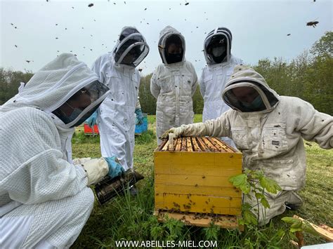 Initiation L Apiculture Dans Le Parc De Coupvray Abeilles Et Miel