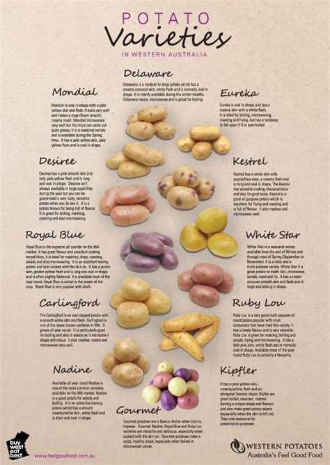 Potato Varieties 595×841 Cooking 101 Cooking Basics Cooking And Baking Cooking Recipes