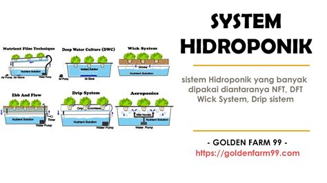 Kelebihan Dan Kekurangan Menggunakan System Hidroponik Store Golden