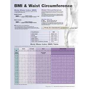 Amazon.com: BMI Waist Circumference Chart: Beauty