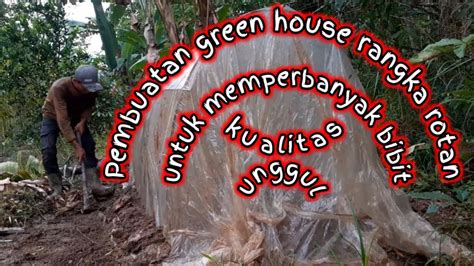 Pembuatan Green House Sederhana Rangka Dari Rotan Youtube