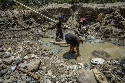 La Fanb Desmantela Estructuras De Minería Ilegal En Bolívar Y Amazonas