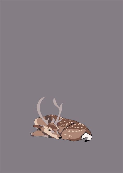 Sleeping deer | Sfondi