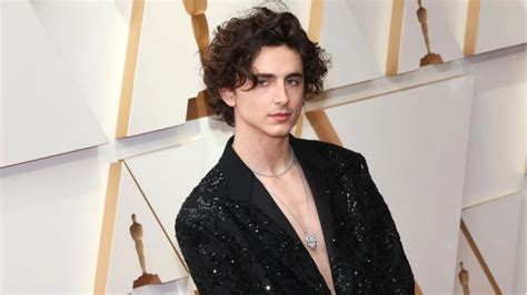 Timothée Chalamet Goes Nearly Shirtless at Oscars