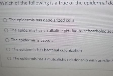 Solved Which Of The Following Is A True Of The Epidermal Chegg