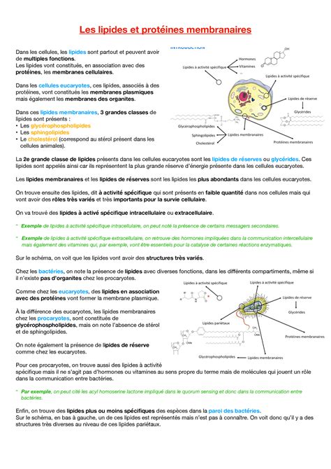 Cours 4 Les lipides et protéines membranaires Les lipides et