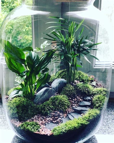 Stunning Indoor Terrarium Ideas That Will Transform Your Home Farmvina