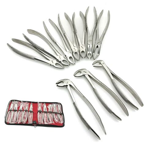 10pcs Stainless Steel Dental Extraction Forceps Adults Teeth Extracting