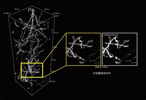 Nikon Axax R With Nsparc（nikon Spatial Array Confocal） 雷射共軛焦顯微鏡 台灣儀器行