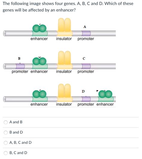 Solved A Mutant E Coli Strain Is Found That Does Not