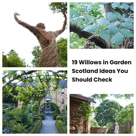 19 Willows In Garden Scotland Ideas You Should Check SharonSable