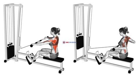 Cable Seated Wide Grip Row Female Home Gym Review