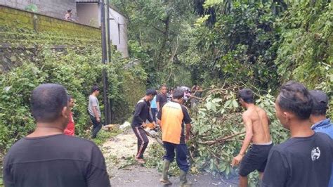 Delapan Kejadian Pohon Tumbang Hingga Baliho Timpa Mobil Akibat Angin