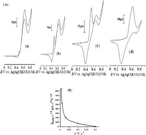 A Cyclic Voltammograms Of The Ni Oh Nps Mgce In The Presence Of