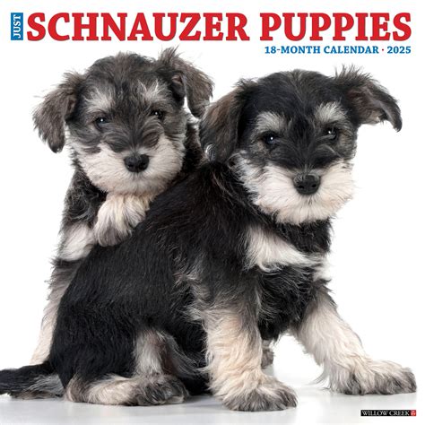 Schnauzer Welpen Kalender Kaufen Einfach Online Bestellen