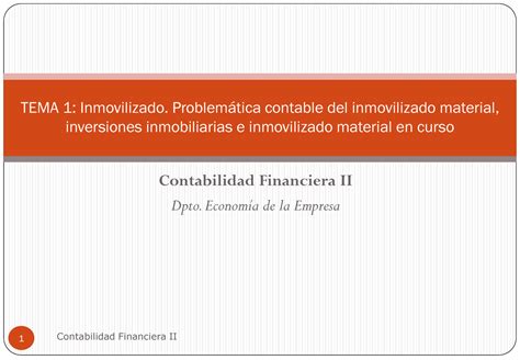 Tema 1 Problematica Contable Del Inmovilizado Material Inversiones