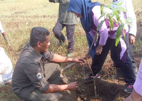 Ingin Tahu Manfaat Jus Mangga Ini Dia Deretan Manfaat Jus Mangga Untuk