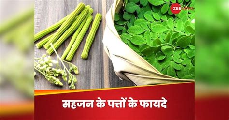 Sahjan Ke Patton Ke Fayde What Are The Benefits Of Eating Moringa Leaves Daily Moringa Leaves