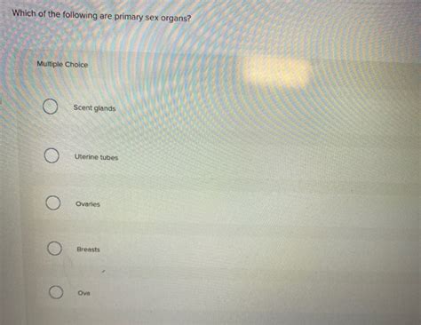 Solved Which Of The Following Are Primary Sex Organs Chegg