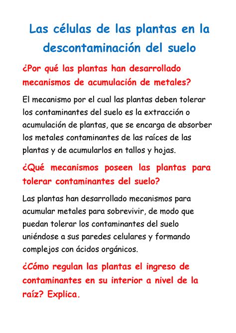 Las células de las plantas en la descontaminación del suelo 03 12 21