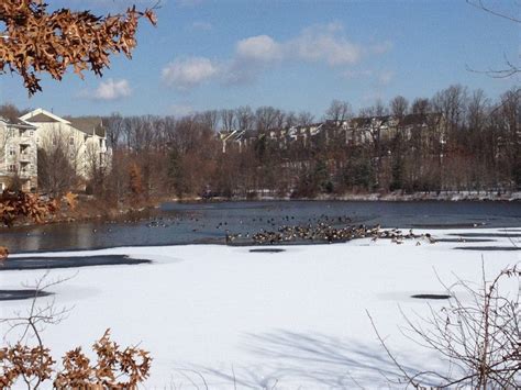 Snow Pictures Share Your Shots Of Manassas And Manassas Park