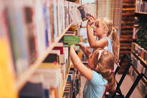 Bibliothèque Dominique Dunois Centre Socio Culturel de Bléré