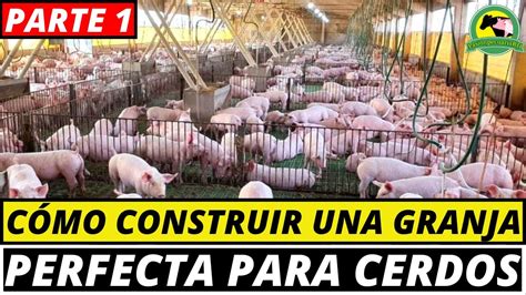 C Mo Criar Cerdos C Mo Se Debe Construir Una Granja Porcina Youtube