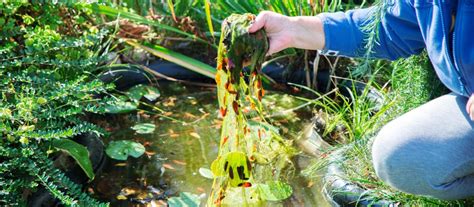 How to set up a Pond Filter and Pump - Aquigarden.com