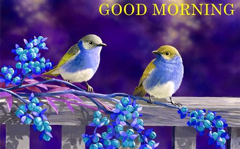 Good Morning With Blue Birds - Good Morning Wishes & Images