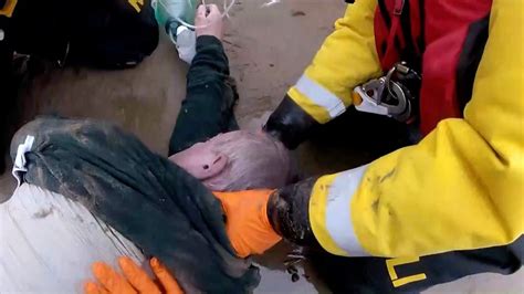 Rnli Celebrates Generations Of Volunteers On Call Over Christmas Bbc News