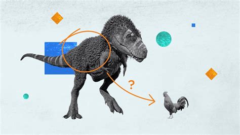 Dinosaurs and the evolution of feathers | Britannica