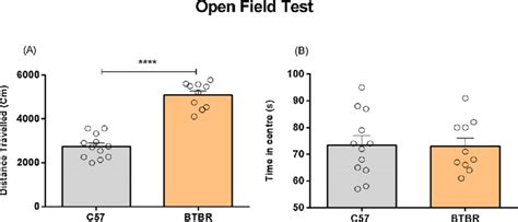 Aged BTBR Mice Display Increased Locomotor Activity In The Open Field