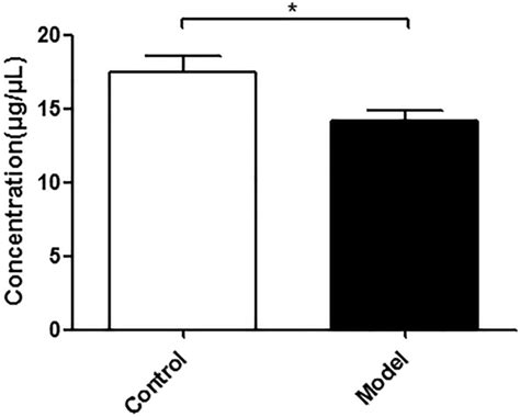 Effect Of Simulated Microgravity On The Protein Concentration Of