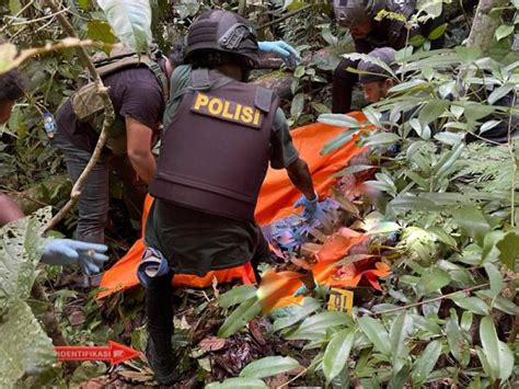 Korban Pembantaian Kstb Di Jalan Trans Bintuni Maybrat Masyarakat Sipil