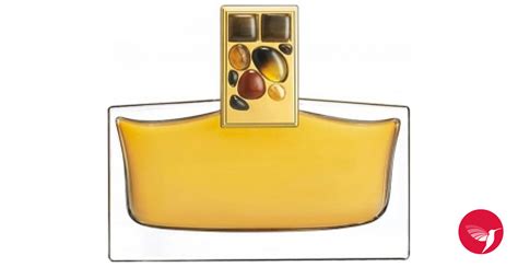 Amber Ylang Ylang Parfum Estée Lauder perfume - a fragrance for women 2008