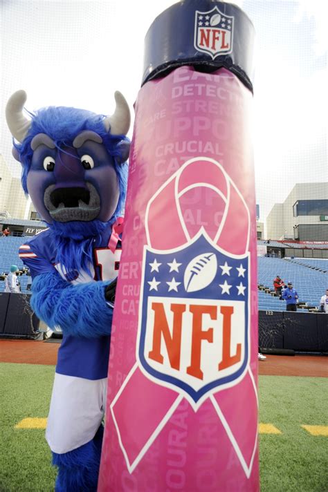 121 best > NFL TEAM MASCOTS