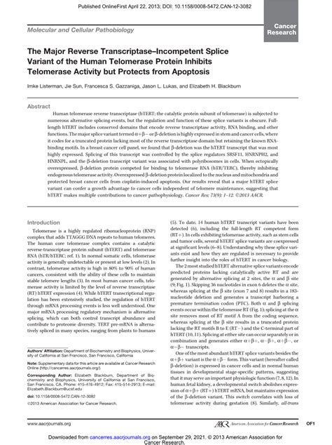 The Major Reverse Transcriptase–Incompetent Splice Variant of the Human ...