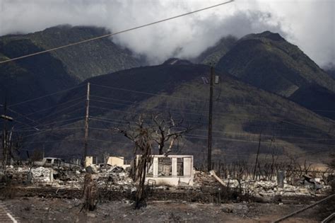 Bereits Mehr Als Tote Nach Feuerkatastrophe Auf Maui